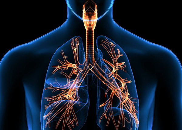 Snc-Respiratory-Disease-image
